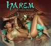 Harem: Club & Chillout Remixes - CD