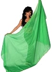 3 Yard Chiffon Belly Dance Veil with Sequin Trim - GREEN / GOLD