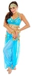 Belly Dancer Genie Costume with Sparkle Top & Harem Pants - TURQUOISE