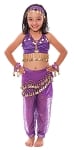 6-Piece Sparkle & Shine Genie Belly Dancer Kids Costume - PURPLE