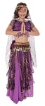 Little Girls Arabian Princess Belly Dance Sparkle Costume - PURPLE