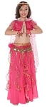Little Girls Arabian Princess Belly Dance Sparkle Costume - DARK PINK