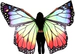 Butterfly Wings - RAINBOW