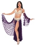 CAIRO COLLECTION: Professional Belly Dance Costume from Egypt - DEEP PURPLE PLUM / SILVER