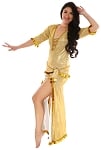 Baladi / Saidi Folk Dress from Egypt - GOLD